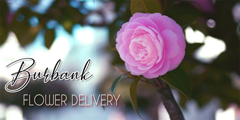 Best Flower Delivery Burbank