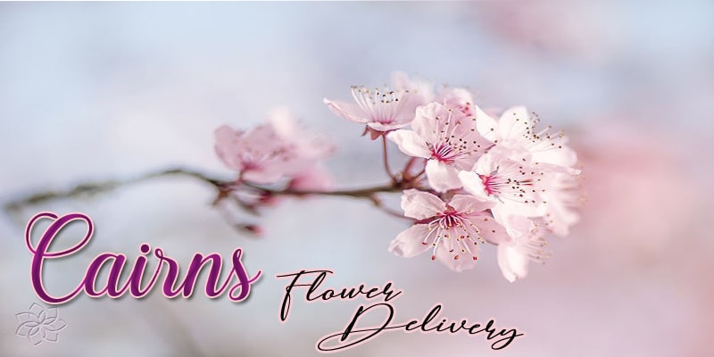 Best Flower Delivery Cairns
