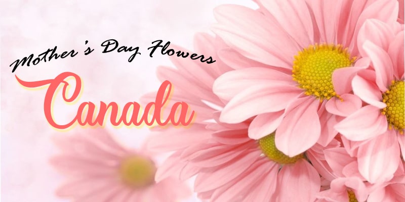 The 8 Best Options For Mothers Day Flowers In Canada Flower Delivery Reviews