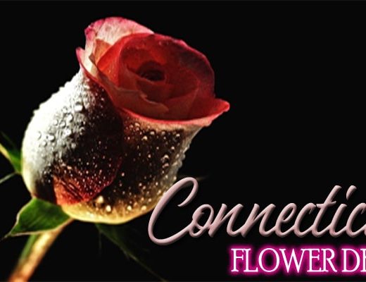 The 14 Best Options for Flower Delivery in Connecticut