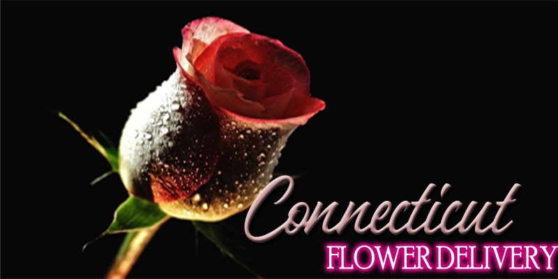 Best Flower Delivery Connecticut