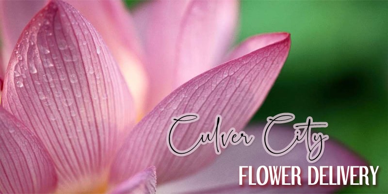 Best Flower Delivery Culver City