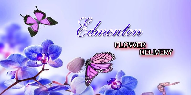 Best Flower Delivery Edmonton