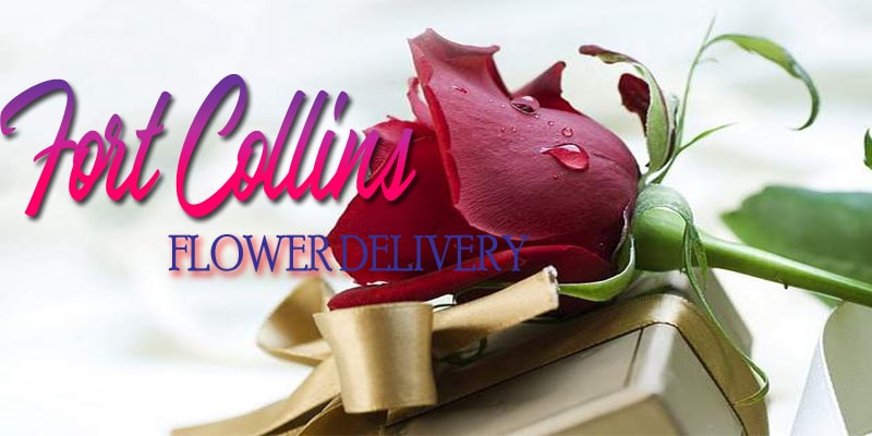 Best Flower Delivery Fort Collins