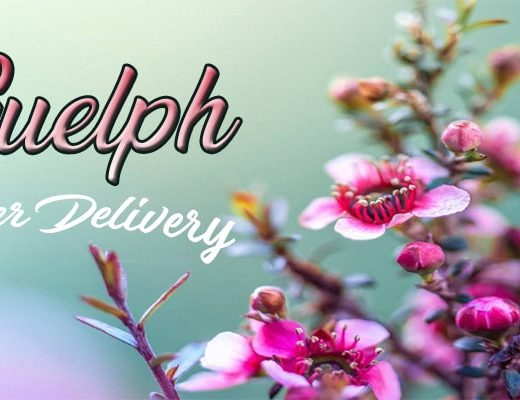 The 10 Best Options for Flower Delivery in Guelph