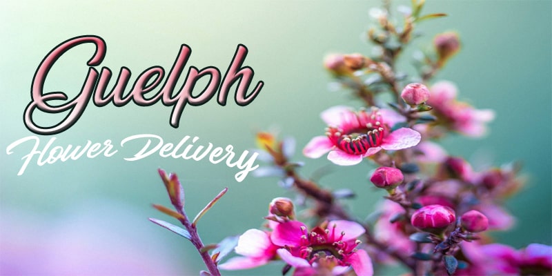 Best Flower Delivery Guelph