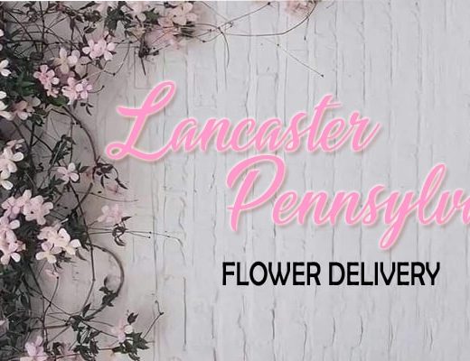 The 8 Best Flower Delivery in Lancaster, PA