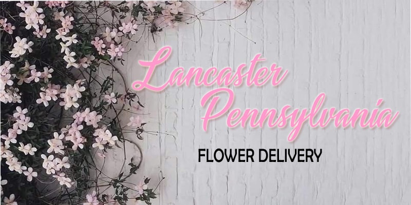 Best Flower Delivery Lancaster Pennsylvania