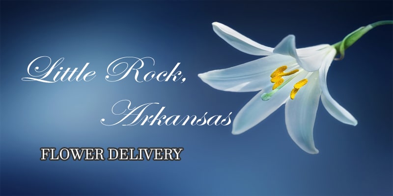 Best Flower Delivery Little Rock Arkansas