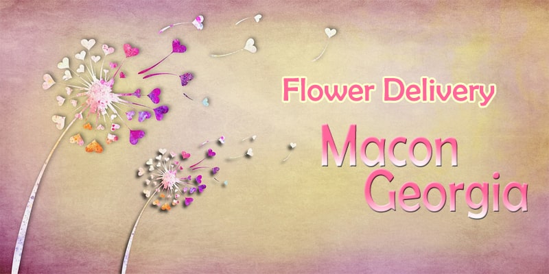 Best Flower Delivery Macon Georgia