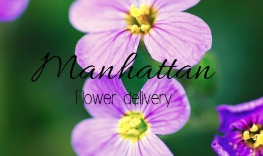 The 12 Best Options for Flower Delivery in Manhattan