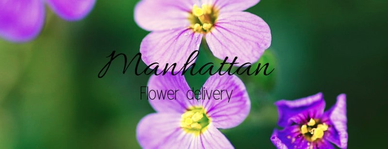 Best Flower Delivery Manhattan