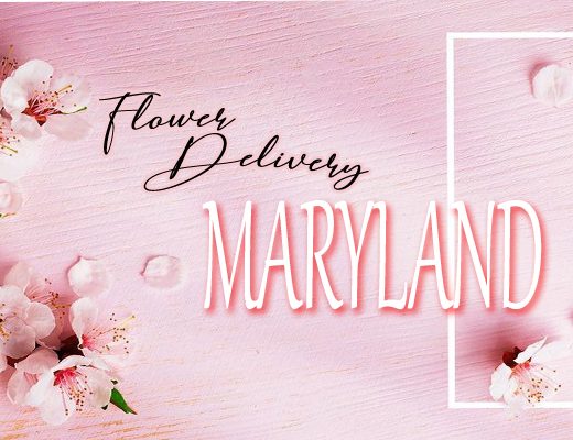 The 13 Best Options for Flower Delivery in Maryland