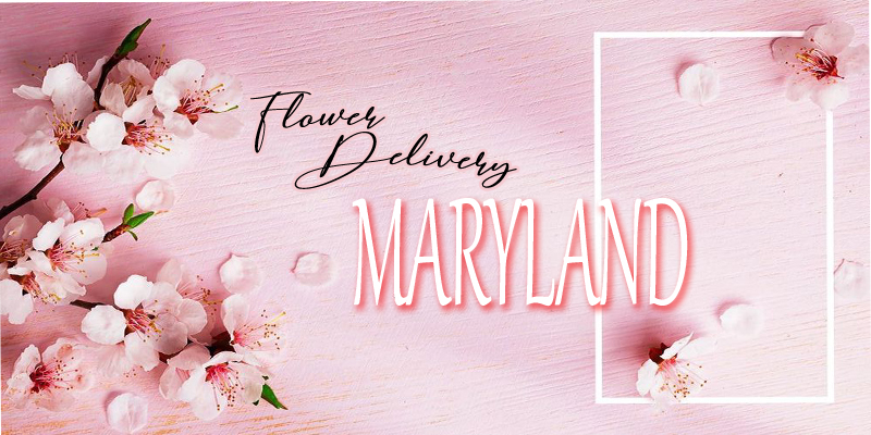 Best Flower Delivery Maryland