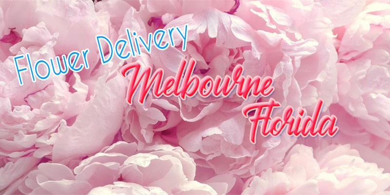 Best Flower Delivery Melbourne Florida