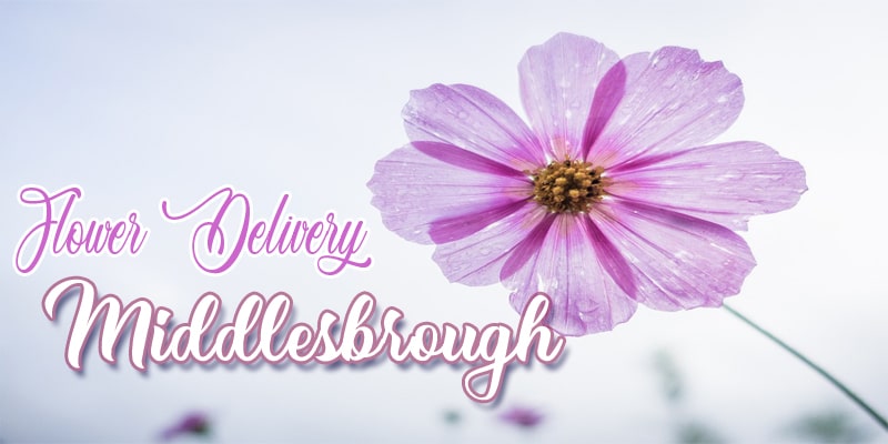 Best Flower Delivery Middlesbrough