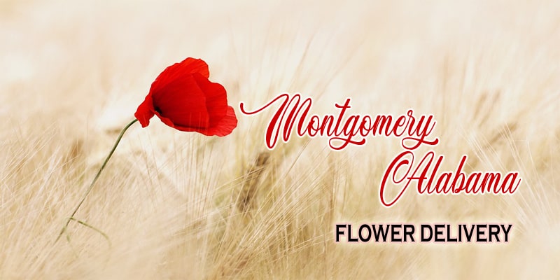 The 8 Best Options For Flower Delivery In Montgomery Alabama 2020