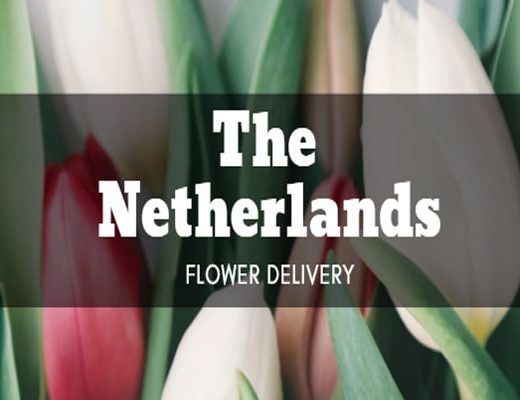 The 8 Best Options for Flower Delivery in the Netherlands
