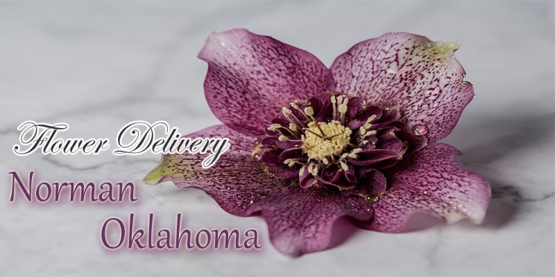Best Flower Delivery Norman Oklahoma