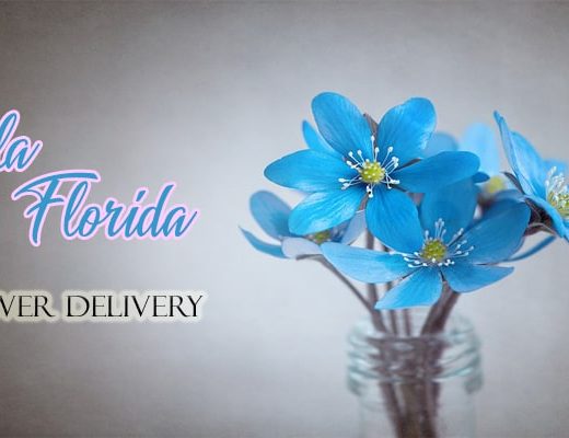 The 8 Best Options for Flower Delivery in Ocala, Florida