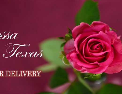 The 8 Best Options for Flower Delivery in Odessa, Texas