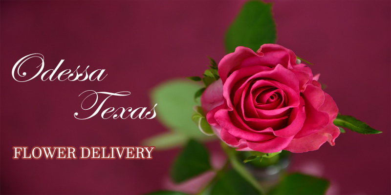 Best Flower Delivery Odessa Texas