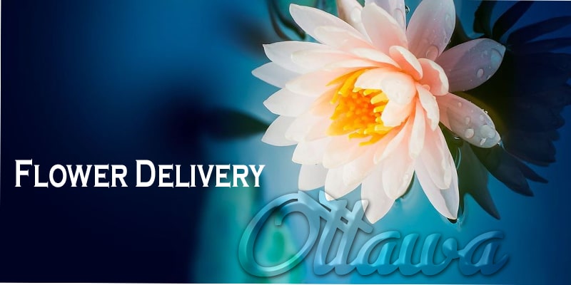 Best Flower Delivery Ottawa