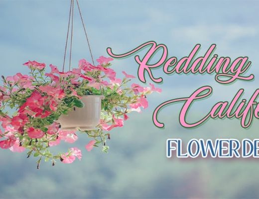 The 8 Best Options for Flower Delivery in Redding, California