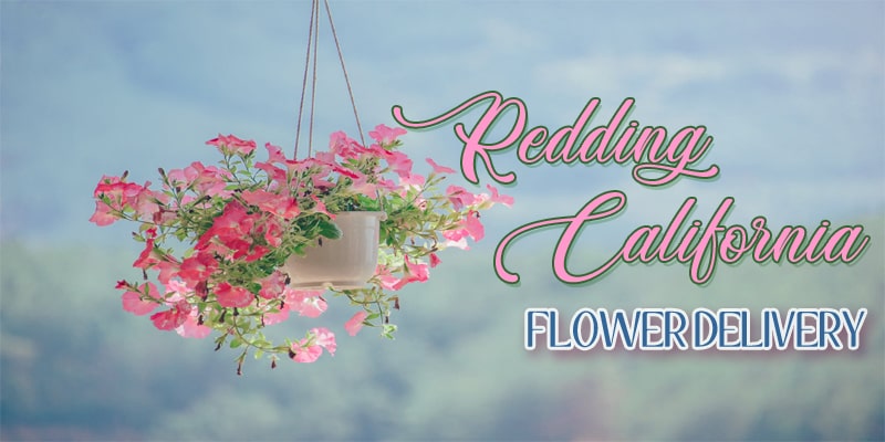 Best Flower Delivery Redding california