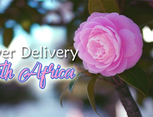 The 13 Best Options For Flower Delivery in South Africa