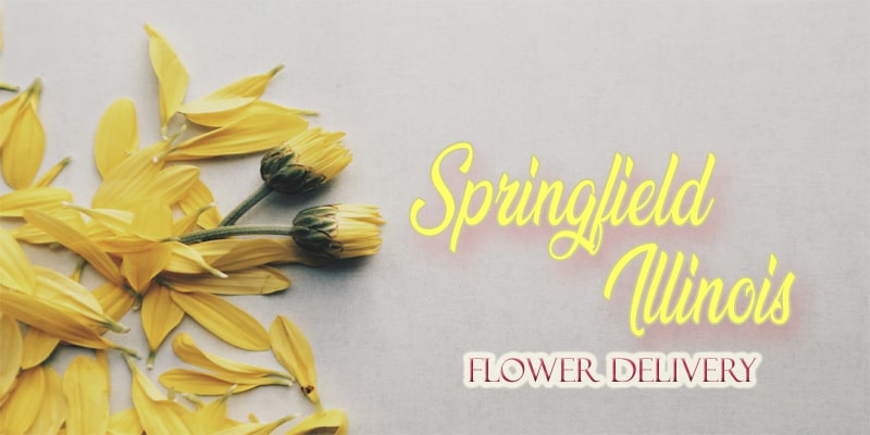 Best Flower Delivery Springfield Illinois