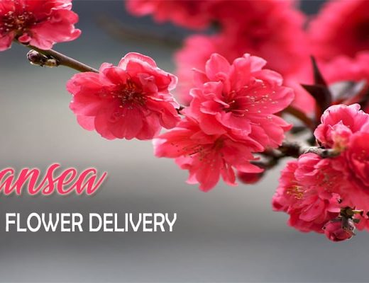 The 10 Best Options for Flower Delivery in Swansea