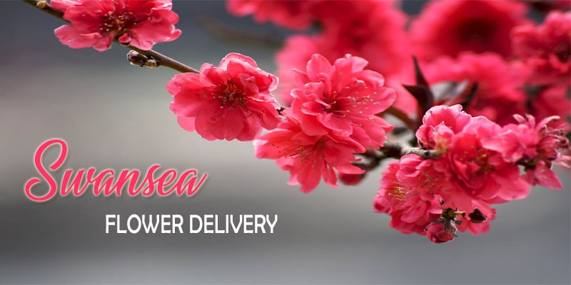 Best Flower Delivery Swansea