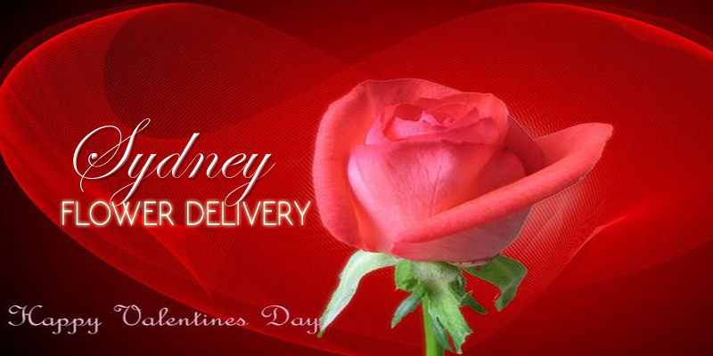 Best Valentines Day Flowers Sydney