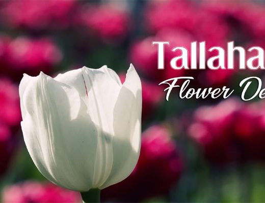 The 6 Best Options for Flower Delivery in Tallahassee