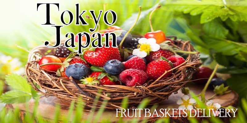 Best Fruit Baskets Tokyo Japan