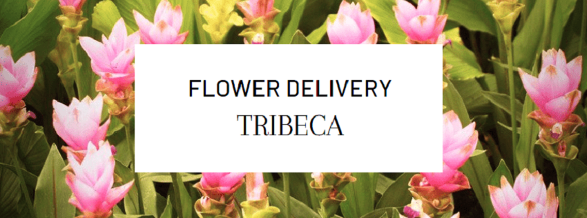 Best Flower Delivery Tribeca