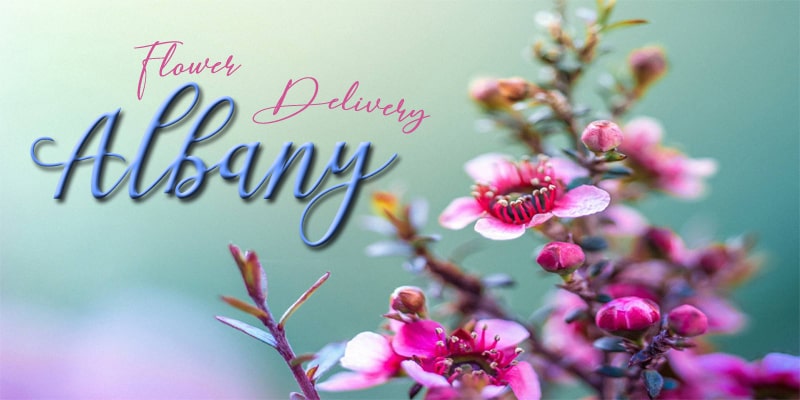 Best Flower Delivery Albany NY