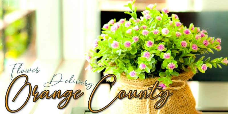 Best Flower Delivery Orange County