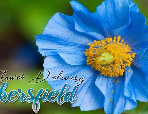 The 7 Best Options for Flower Delivery in Bakersfield