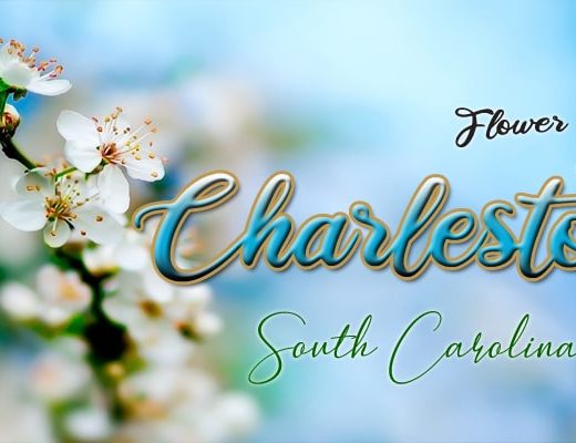 9 Best Flower Delivery in Charleston, SC