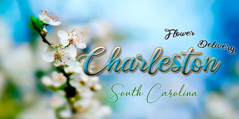 Best Flower Delivery Charleston, South Carolina