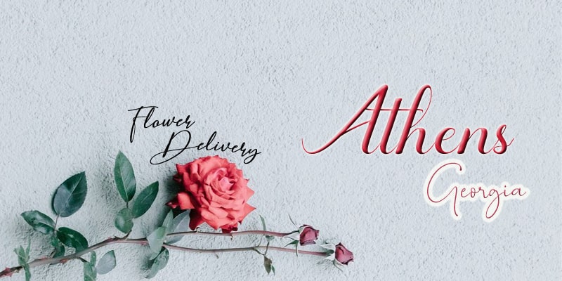 Best Flower Delivery Athens Georgia