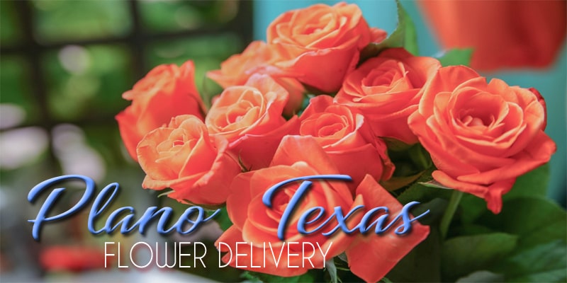 Best Flower Delivery Plano Texas