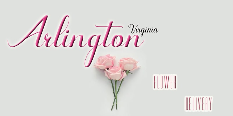 Best Flower Delivery Arlington Virginia