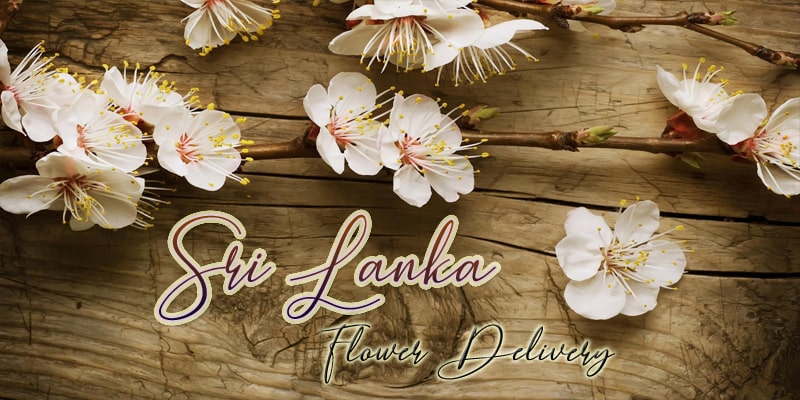 Best Flower Delivery Sri Lanka