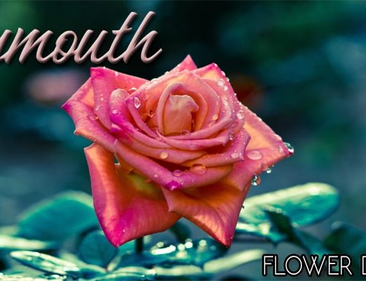 The 7 Best Options for Flower Delivery in Plymouth