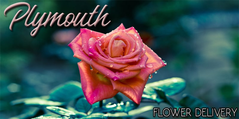 Best Flower Delivery Plymouth
