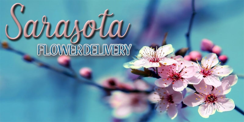 Best Flower Delivery Saratosa