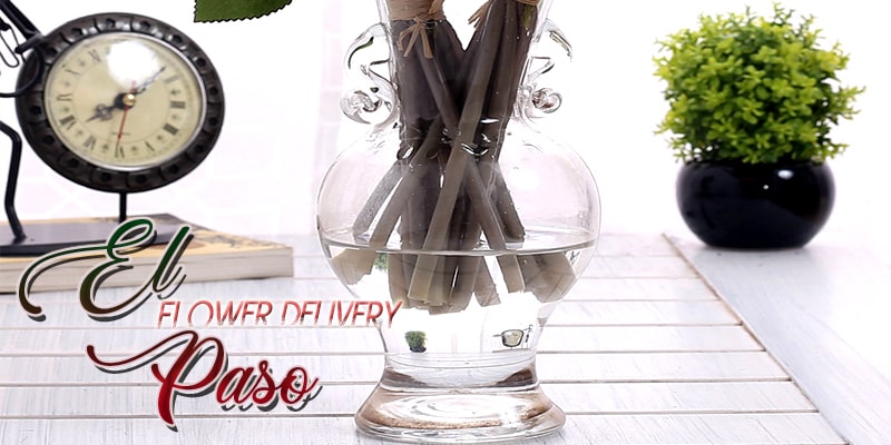 Best Flower Delivery El Paso Texas